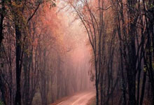 快船队主力球员受伤施加压力，团队凝聚力面临考验！