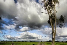 快船队主力球员受伤施加压力，团队凝聚力面临考验！