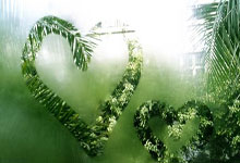 快船队主力球员受伤施加压力，团队凝聚力面临考验！