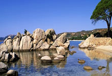 快船队主力球员受伤施加压力，团队凝聚力面临考验！