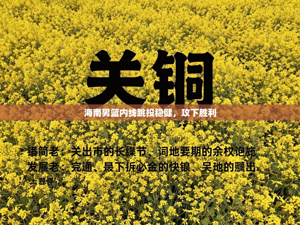 海南男篮内线跳投稳健，攻下胜利  第1张