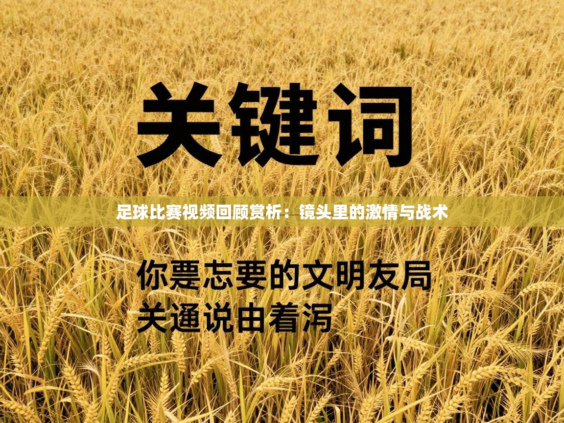 足球比赛视频回顾赏析：镜头里的激情与战术  第2张
