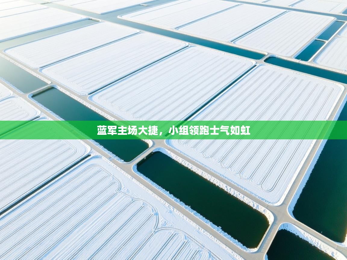 蓝军主场大捷，小组领跑士气如虹